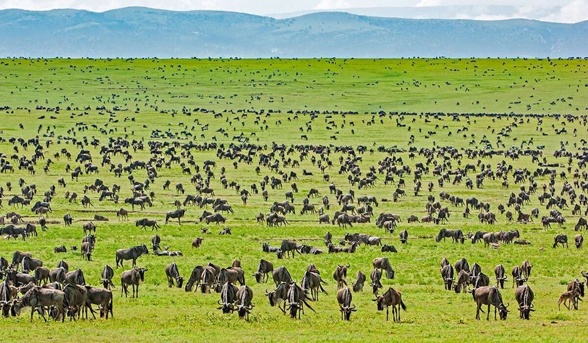 in Tanzania: Explore Sustainably