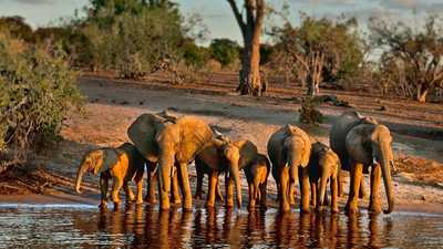 10 African Wildlife Sanctuaries