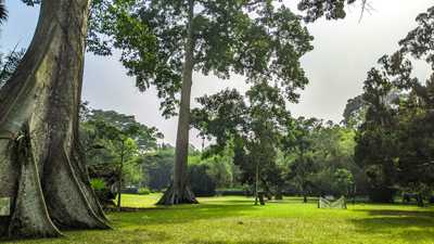 Ghana for Plant Lovers