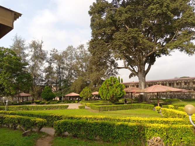 Nigeria for Nature Enthusiasts