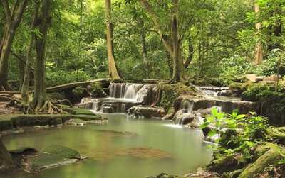 Ghana for Nature Lovers