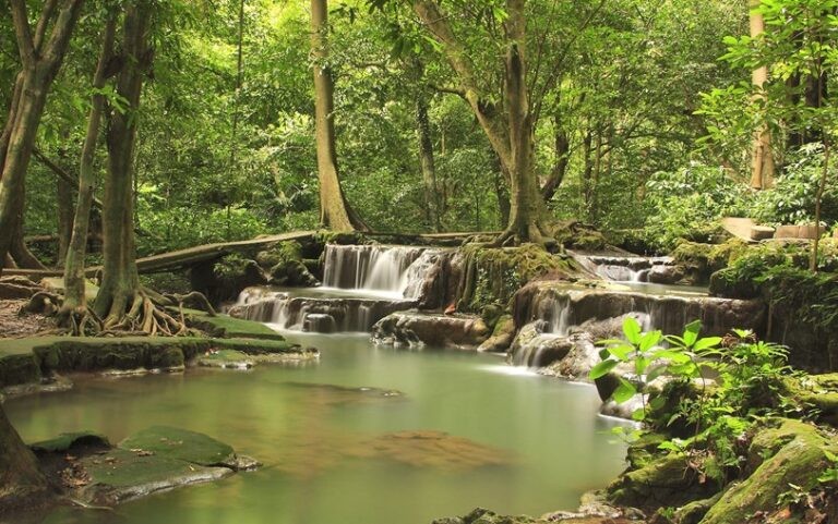 Ghana for Nature Lovers