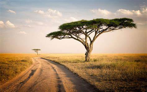 2023's Top Destinations to Visit in Africa